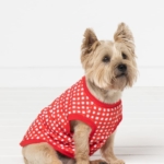 Mens Knit PJs and Doggy Vest Bundle